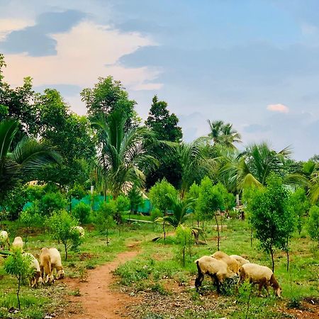 Eco Farm Βίλα Μπανγκαλόρ Εξωτερικό φωτογραφία