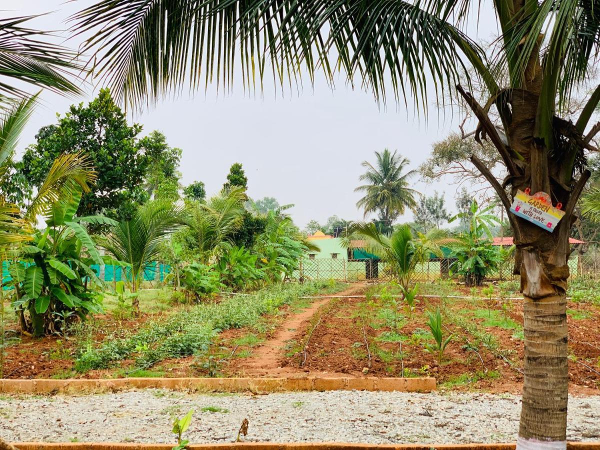 Eco Farm Βίλα Μπανγκαλόρ Εξωτερικό φωτογραφία
