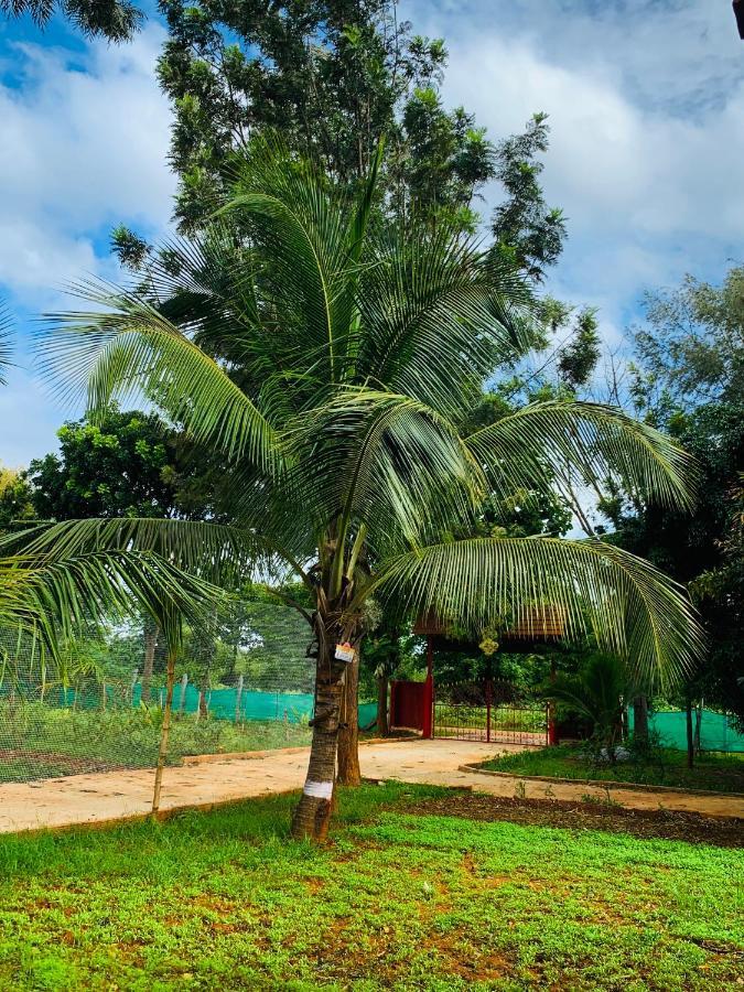 Eco Farm Βίλα Μπανγκαλόρ Εξωτερικό φωτογραφία