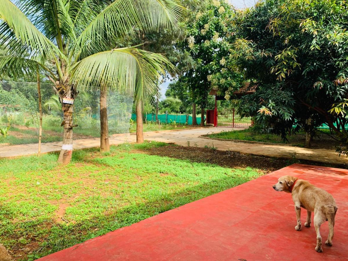 Eco Farm Βίλα Μπανγκαλόρ Εξωτερικό φωτογραφία