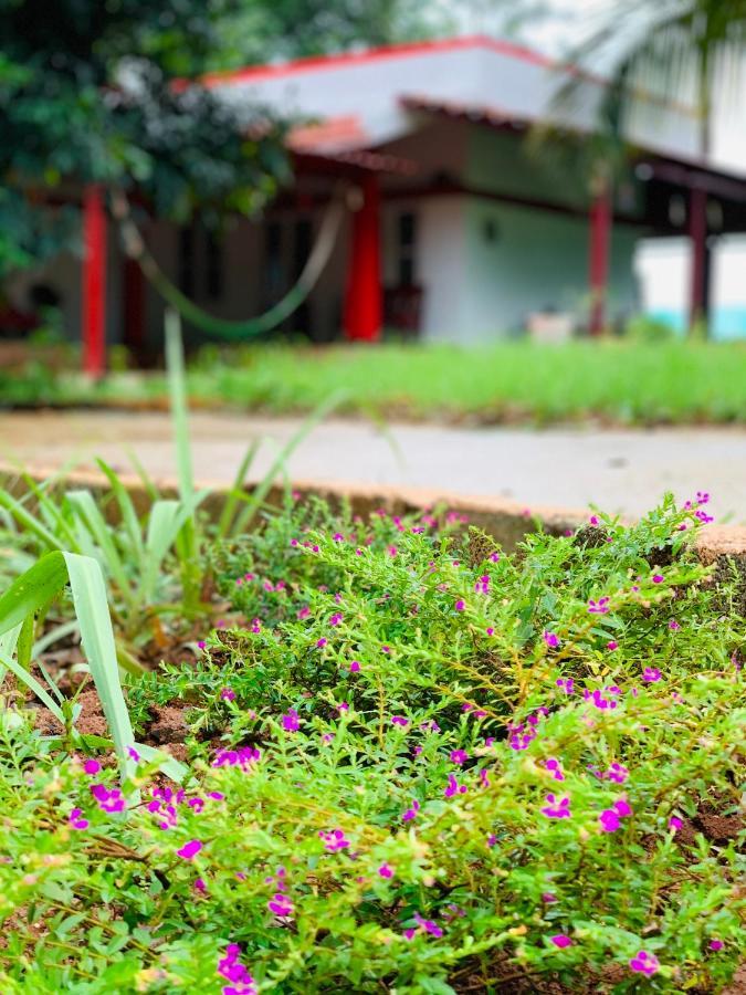 Eco Farm Βίλα Μπανγκαλόρ Εξωτερικό φωτογραφία